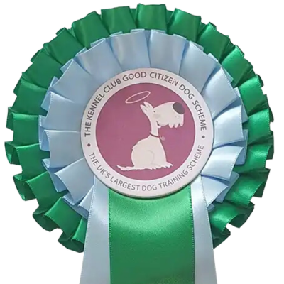 Kennel club sales good citizen scheme